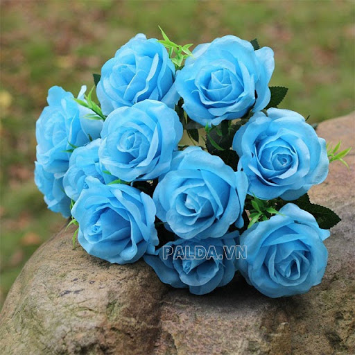 Trong tình yêu, hoa hồng xanh tượng trưng cho sự bất diệt